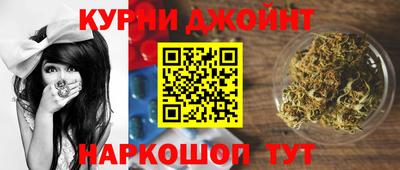 прущие грибы Усть-Джегута