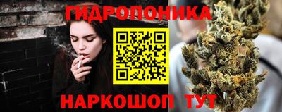прущие грибы Усть-Джегута