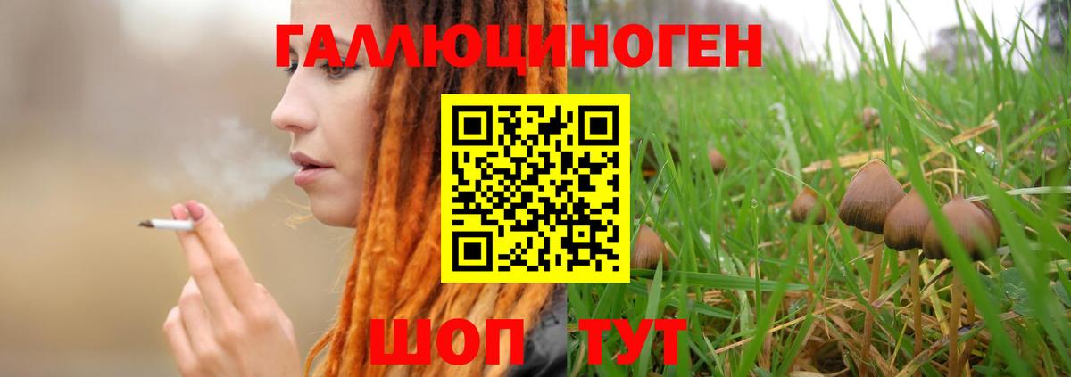 Рязань  Псилоцибиновые грибы Cubensis  наркота  Вход с VPN 